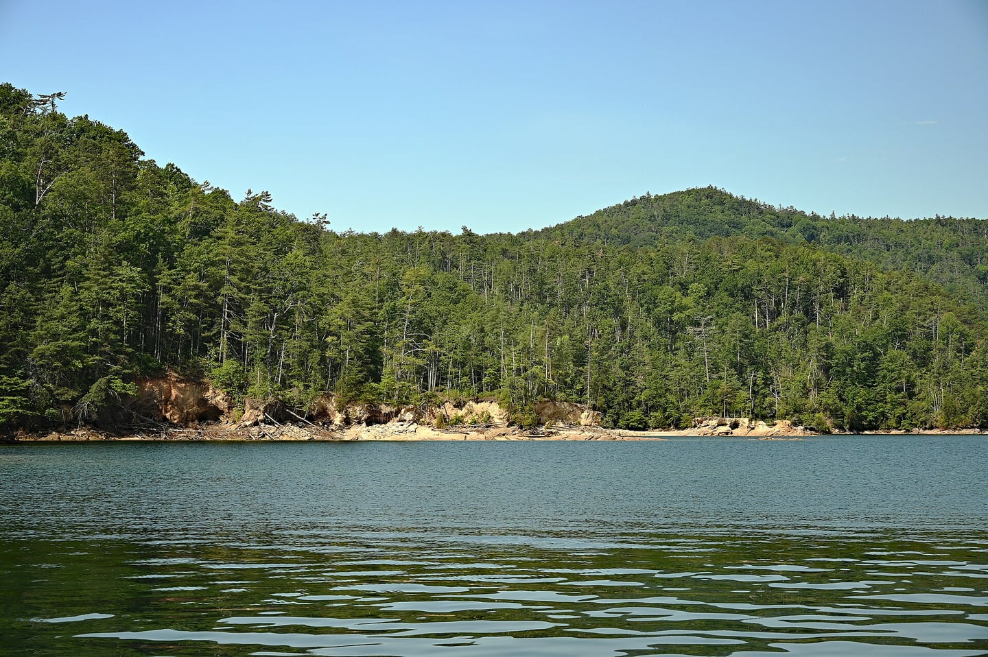 Forested hillside and exposed shoreline above the water of Lake Jocassee