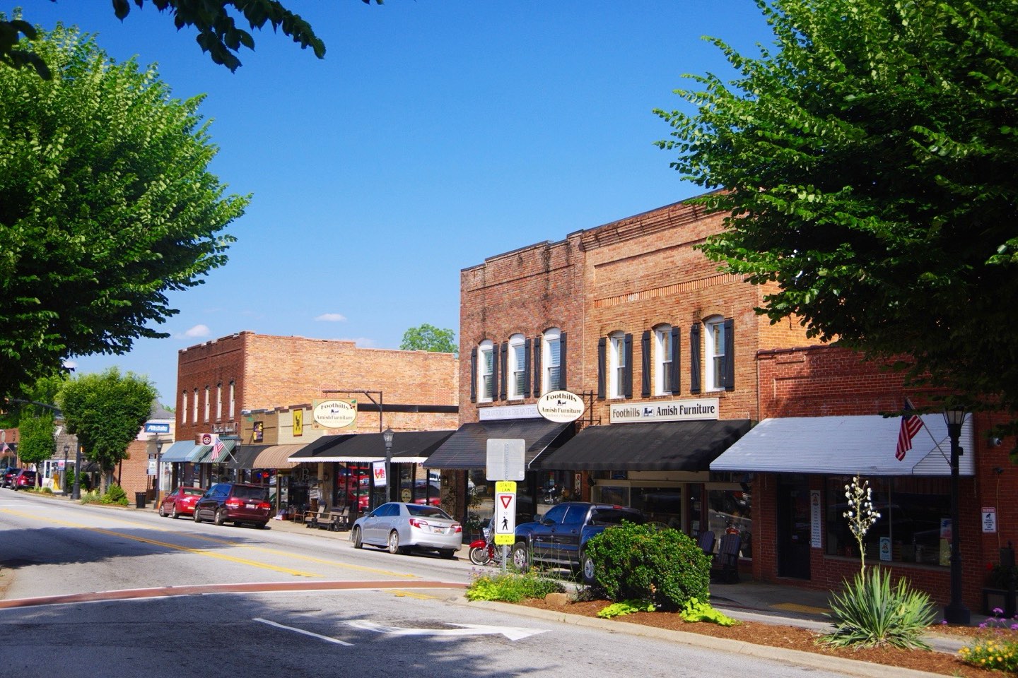 Brick shopfronts and black awnings along Rutherford Avenue in downtown Landrum, framed by shade trees